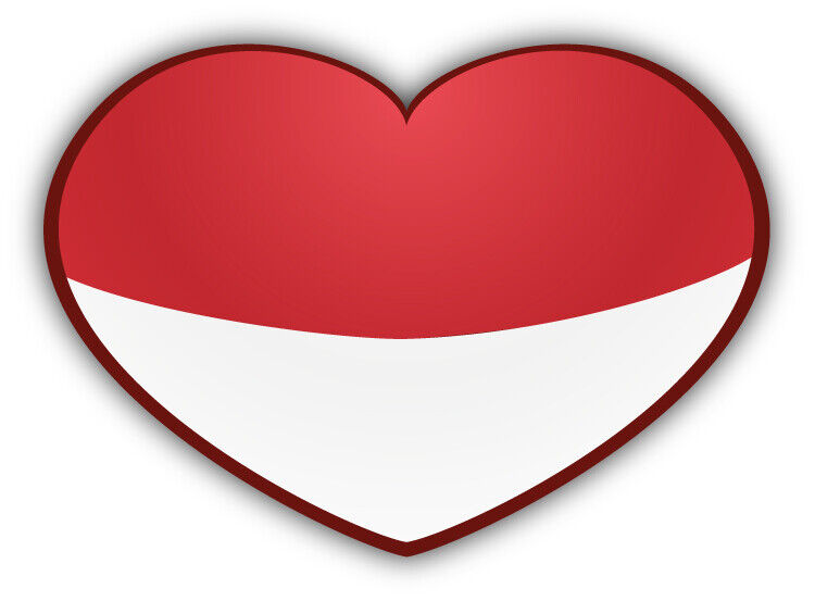 Виниловая наклейка с флагом Мо – обзор и цена Laptop Accessories Kids